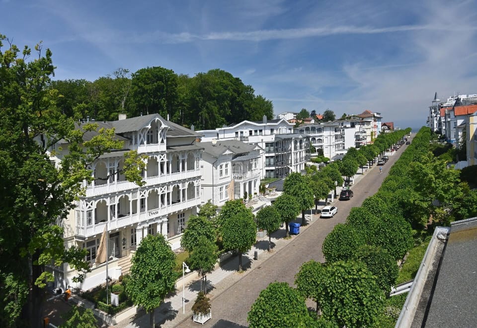 View from the window