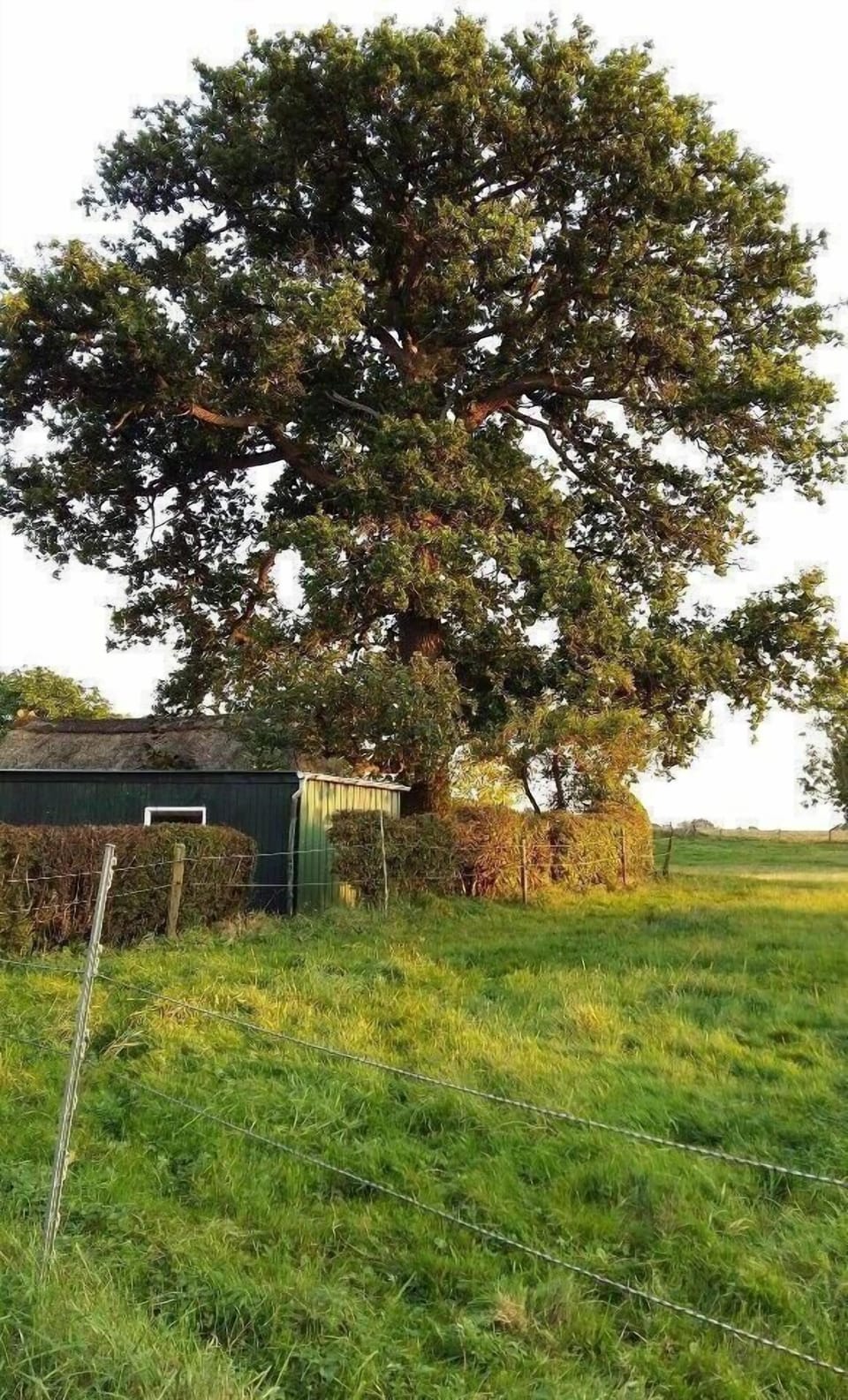 View from the window