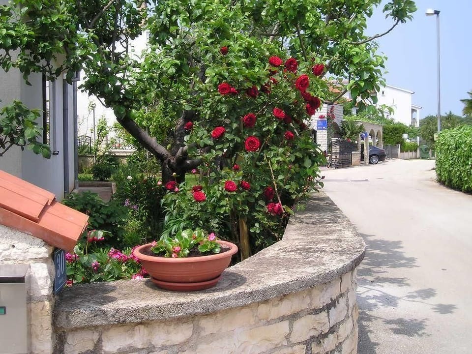 External view of the building. Street view