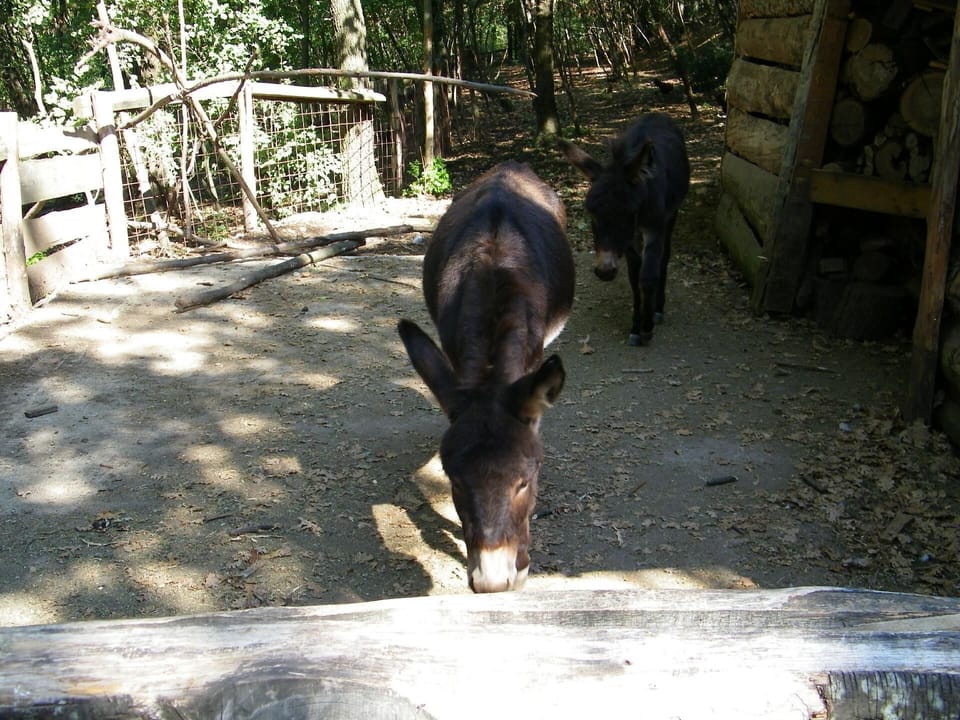 Area that directly surrounds the property