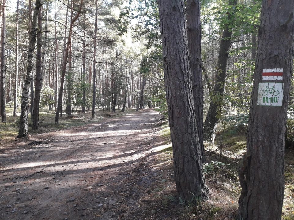 Area that directly surrounds the property