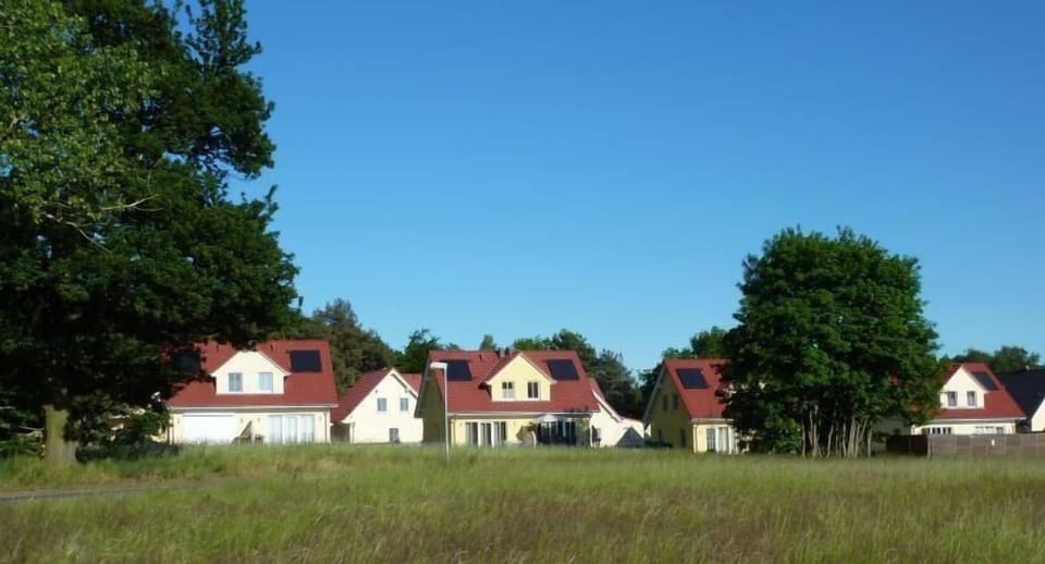 Area that directly surrounds the property