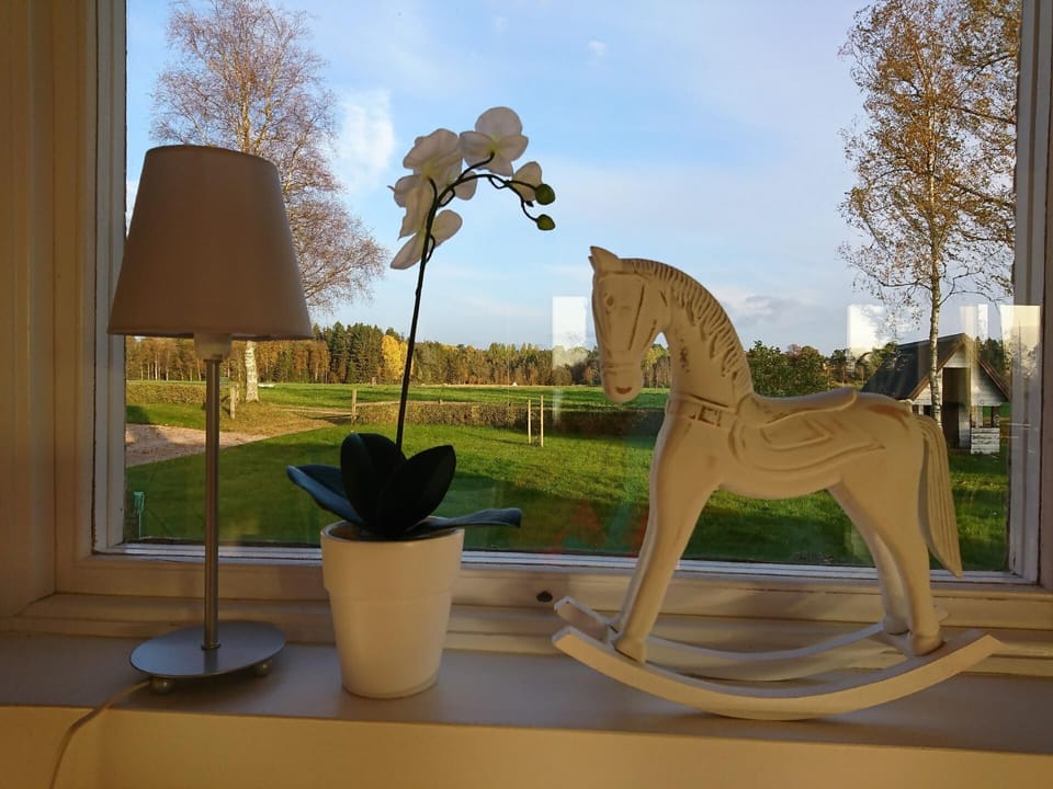 View from the window