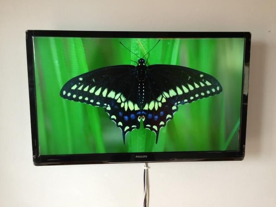 Television