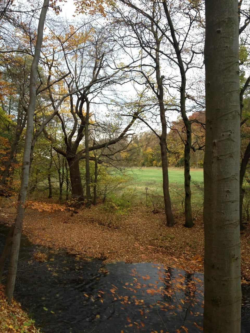 Property grounds
