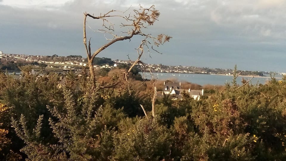 Area that directly surrounds the property