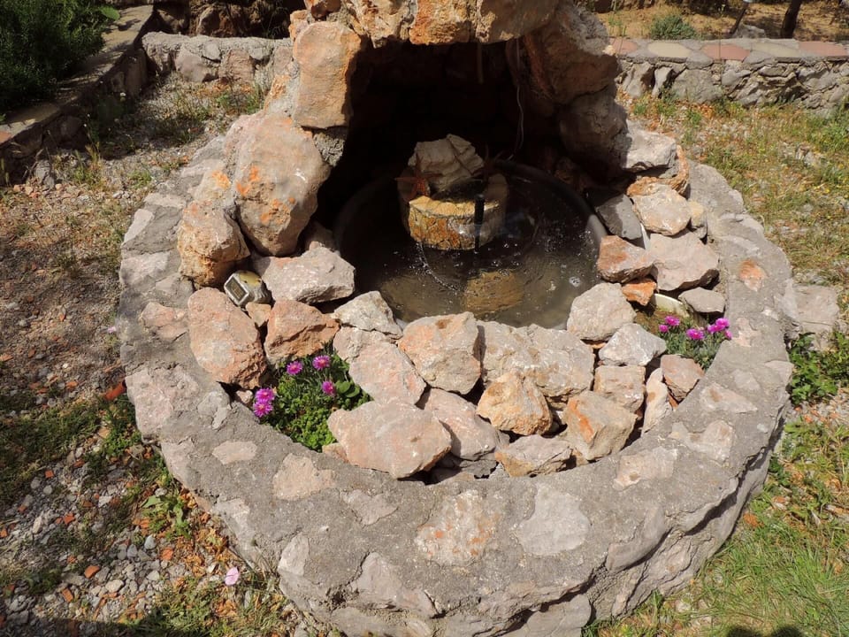 Garden. fountain in the garden