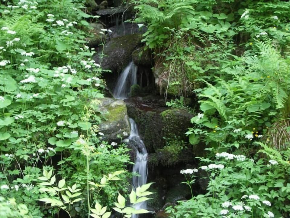 Area that directly surrounds the property