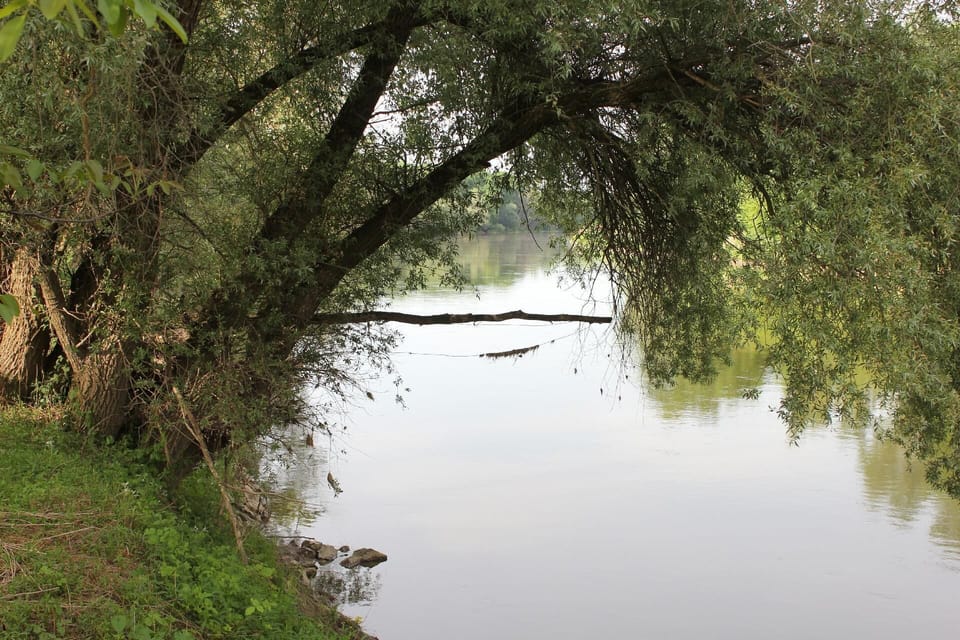 Area that directly surrounds the property