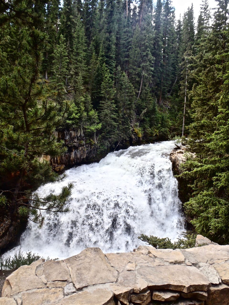 Start your hike to Ousel Falls from the condo it's only 0.7 miles to trail head