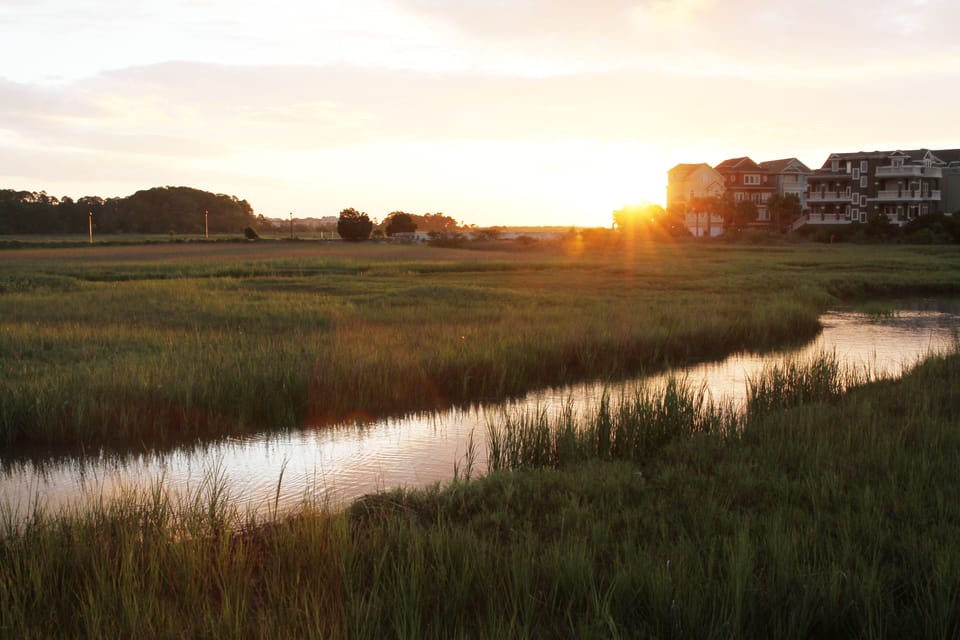 Sunrise view from boardwalk