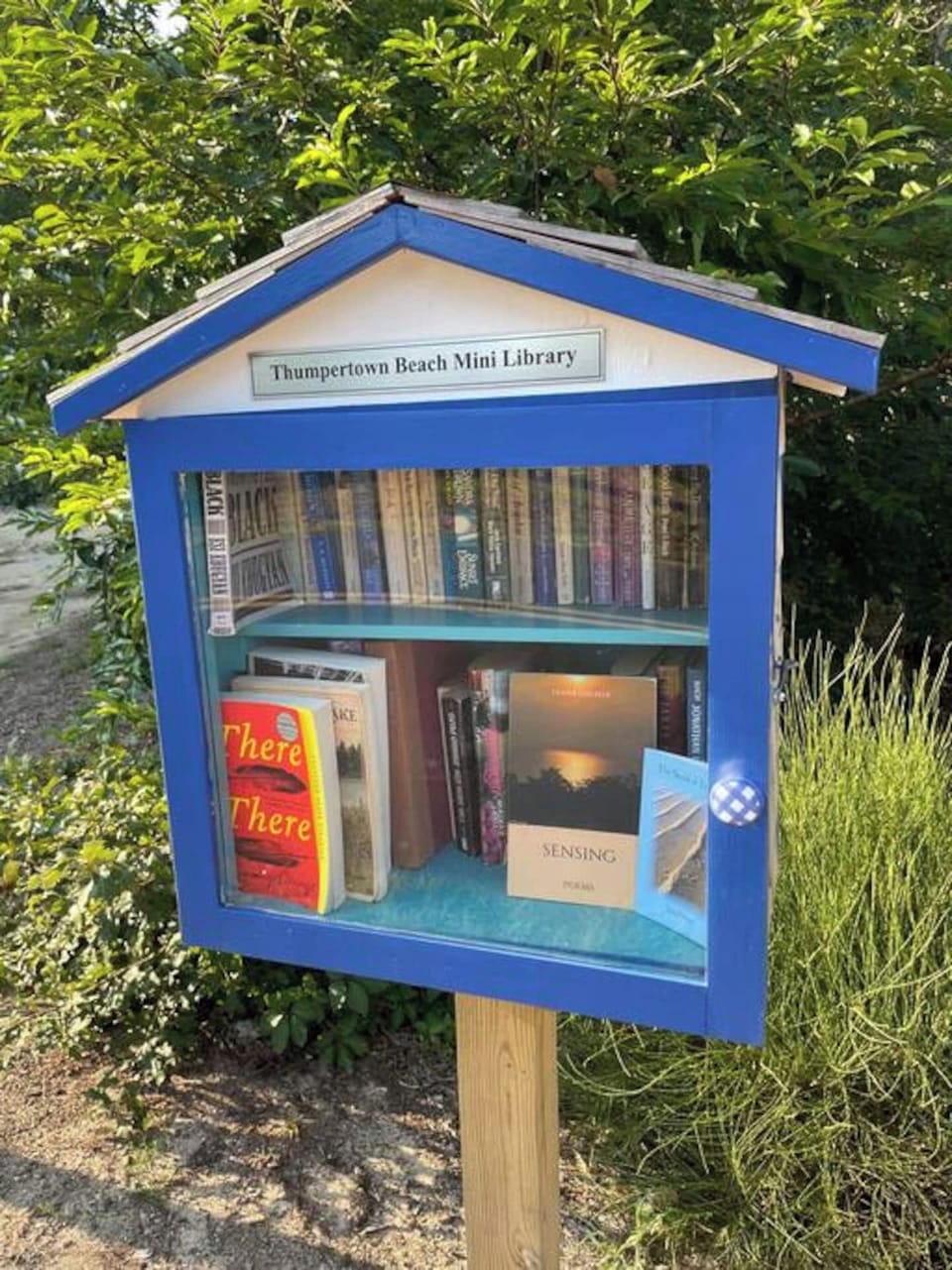 Grab a book on your way to the beach!