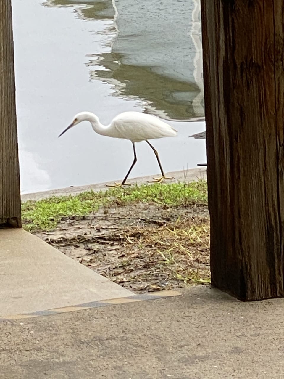 Friend comes for lunch