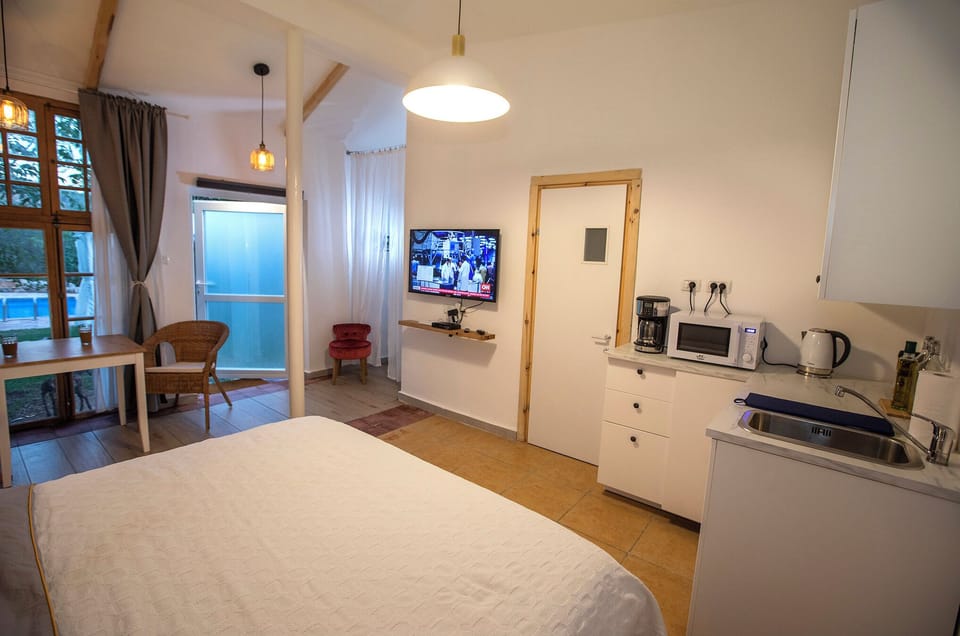 Interior view with Smart TV, closet area (left), and kitchenette.