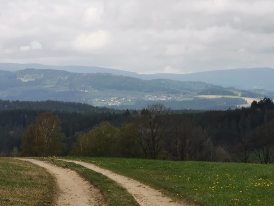 Quiet vacation apartment (50 sqm) with balcony Apartment in Bavaria