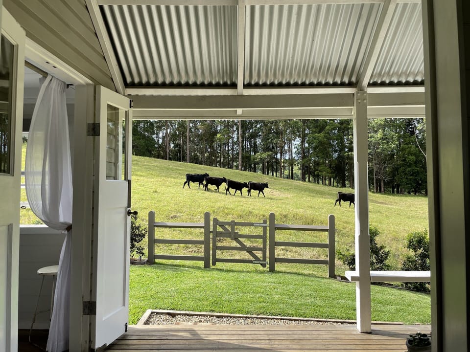 Veranda views
