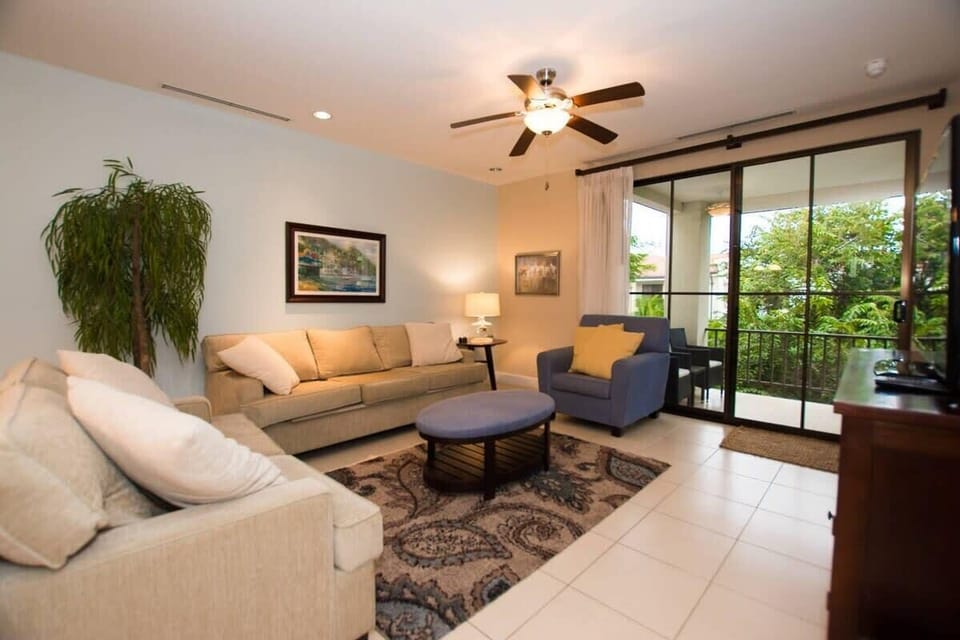 Livin room view