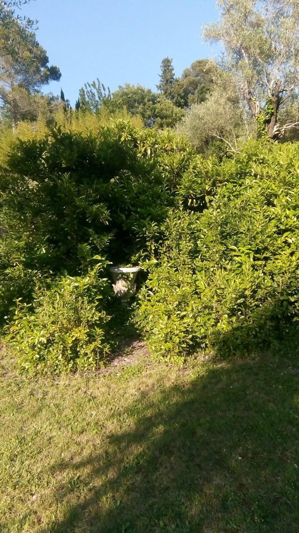 Property grounds