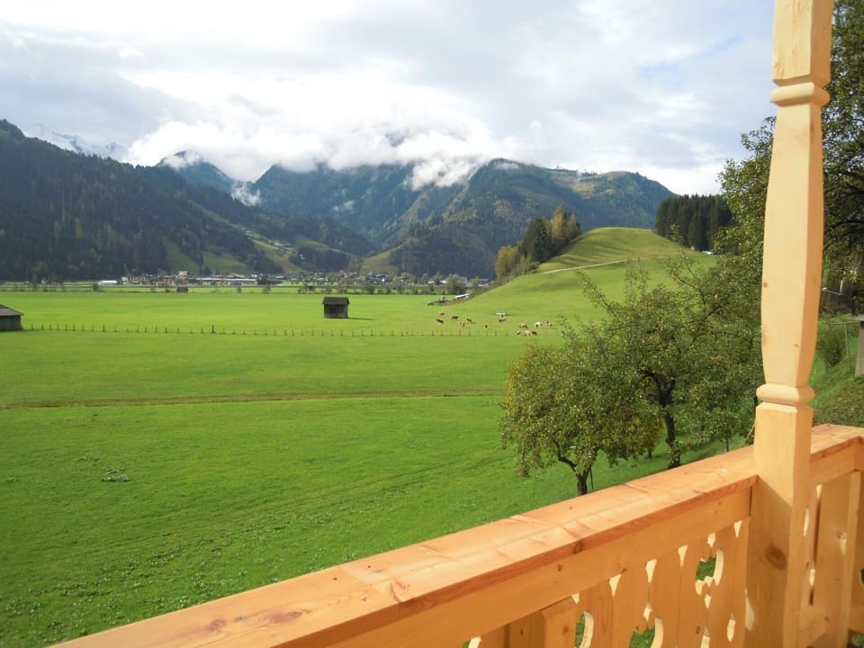 View from the window