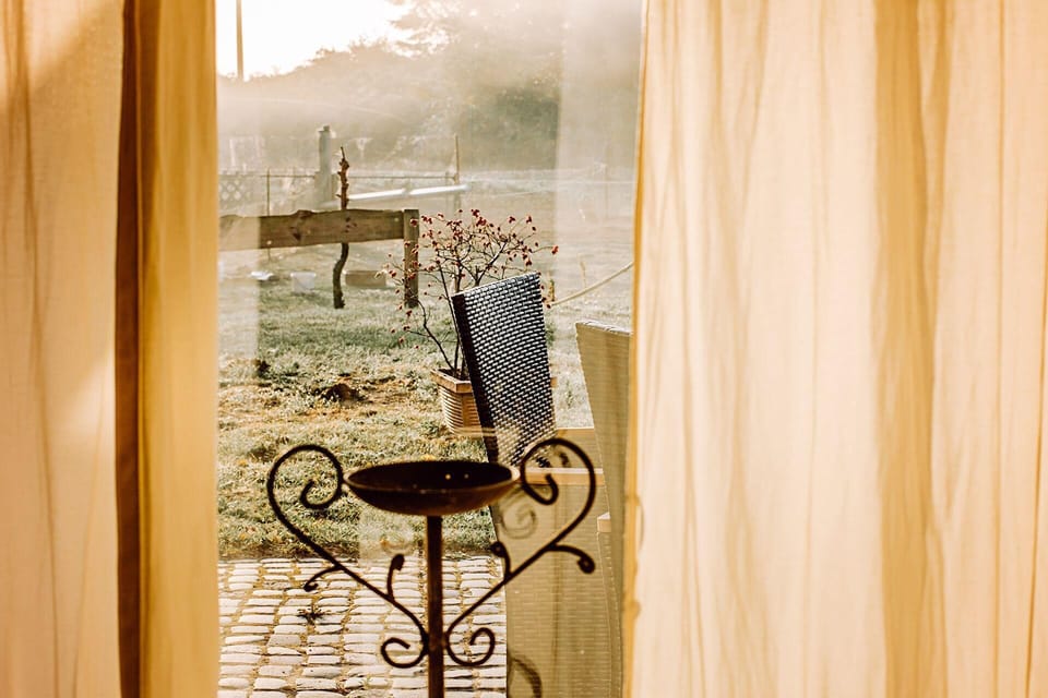View from the window