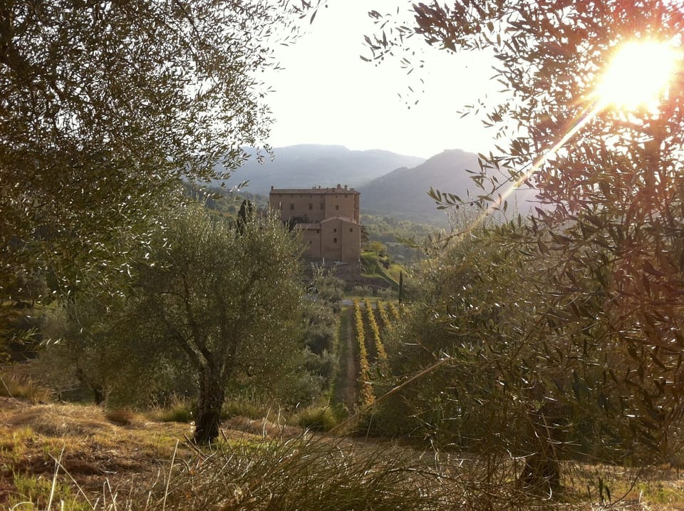 A view of the castle from above the swimming pool