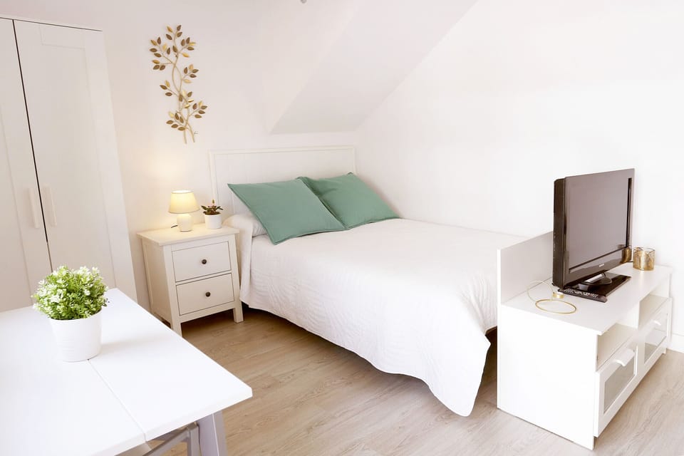 Bright living room-bedroom with air conditioning, double bed and comfortable furniture