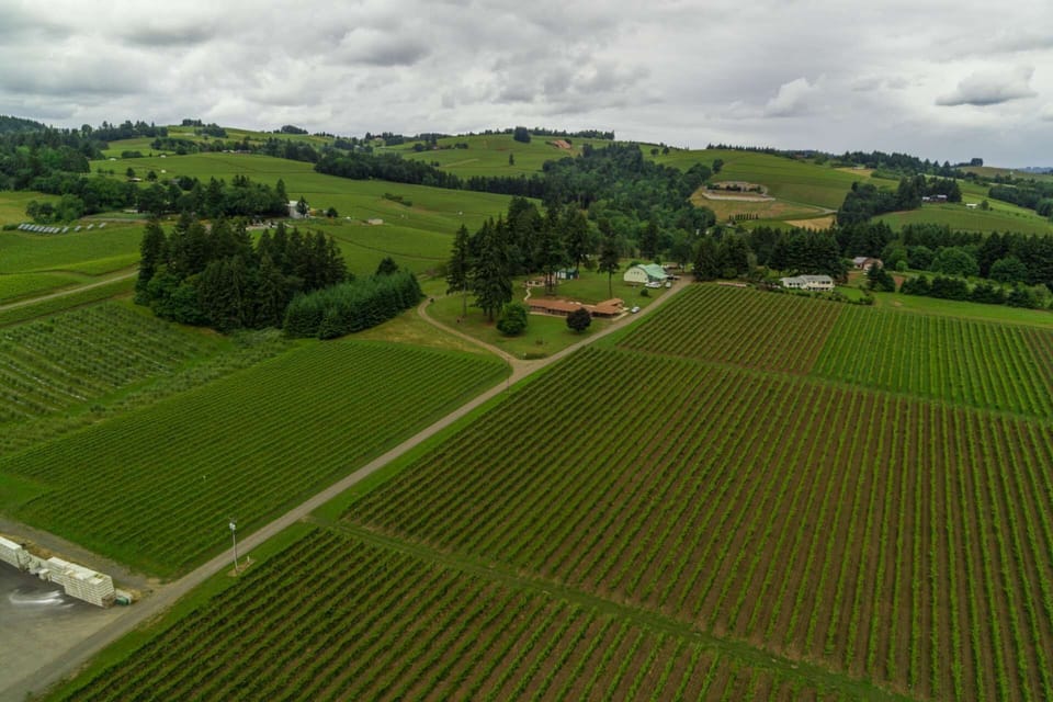 "Beautiful location amongst the vineyards. Check in and check out were easy. I would highly recommend this house for a large party" - J Geoff