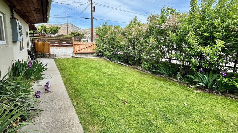 Grassy yard and stairs down from the driveway and parking area