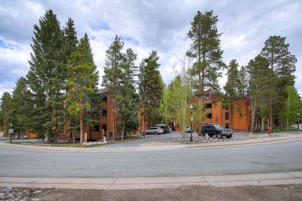 A residential area with multiple wooden buildings surrounded by tall trees, a paved road, and parked vehicles on a cloudy day.