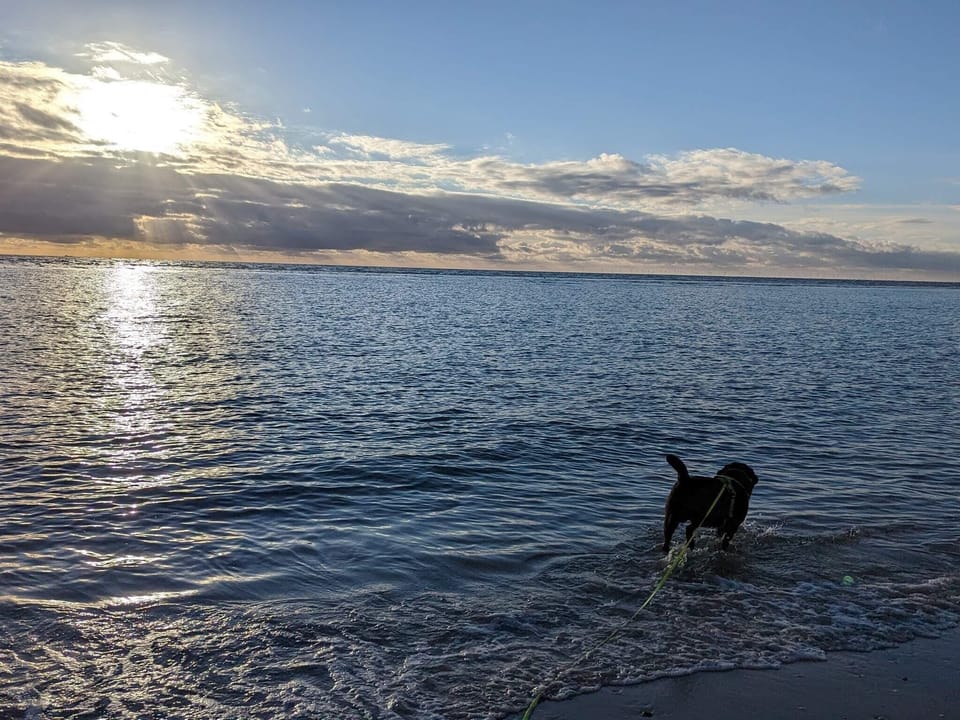 Water view