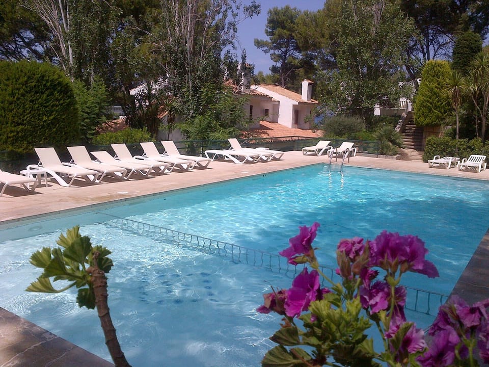 Pool and sunbathing area