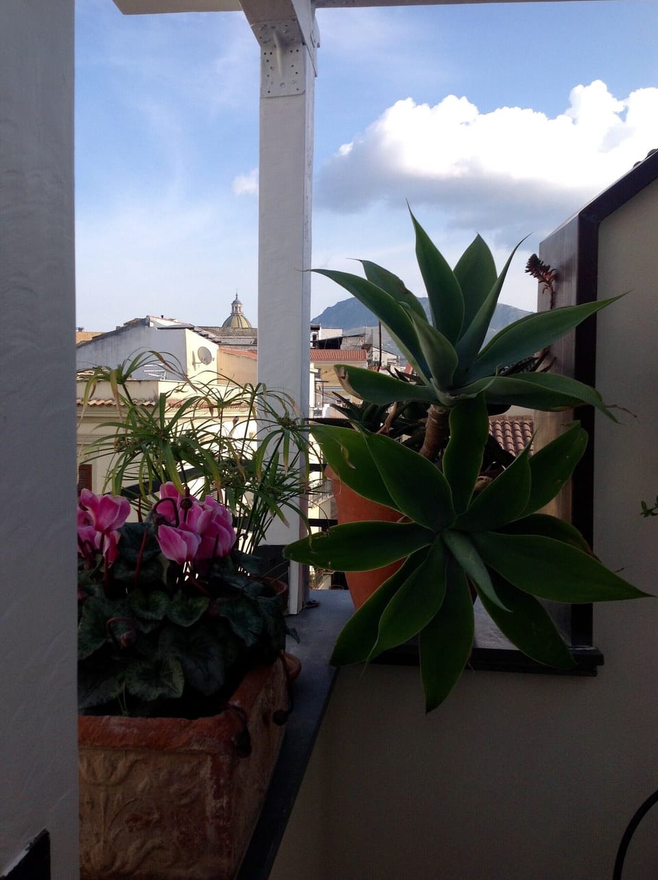 View from property