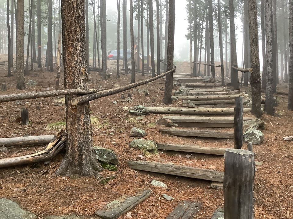 Stairway  from park area to Log Cabin noted in the listing. Wide, & not steep.