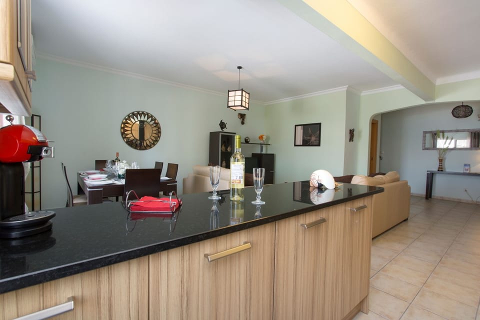 American kitchen counter