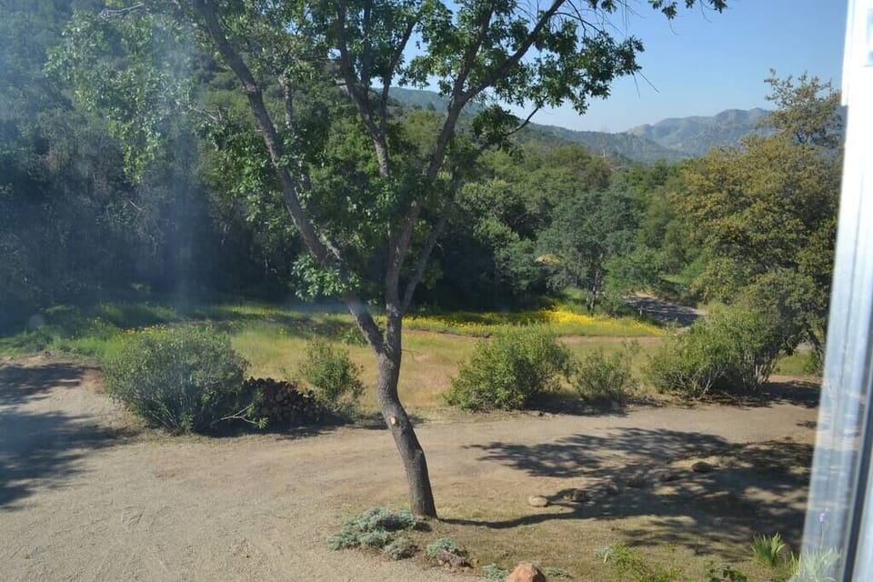 View from upstairs bedroom 