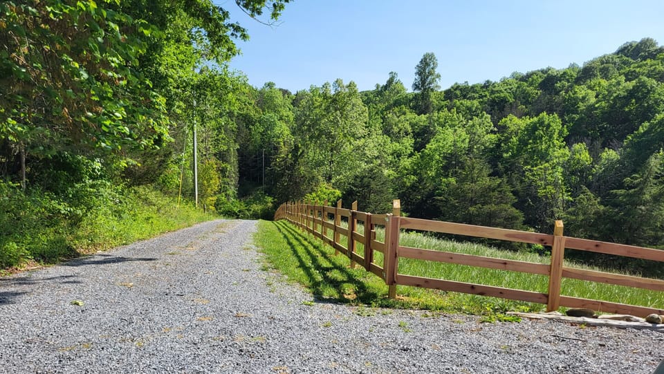 Driveway view