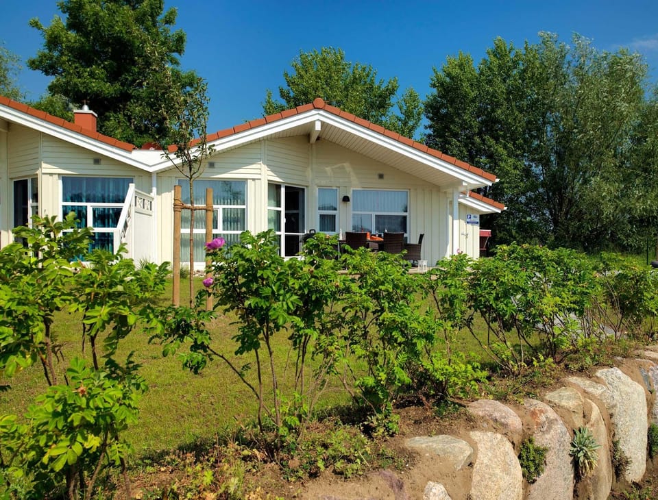 Main view