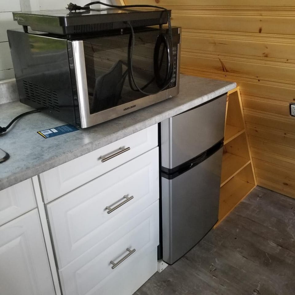 Mini fridge with induction cooktop and microwave