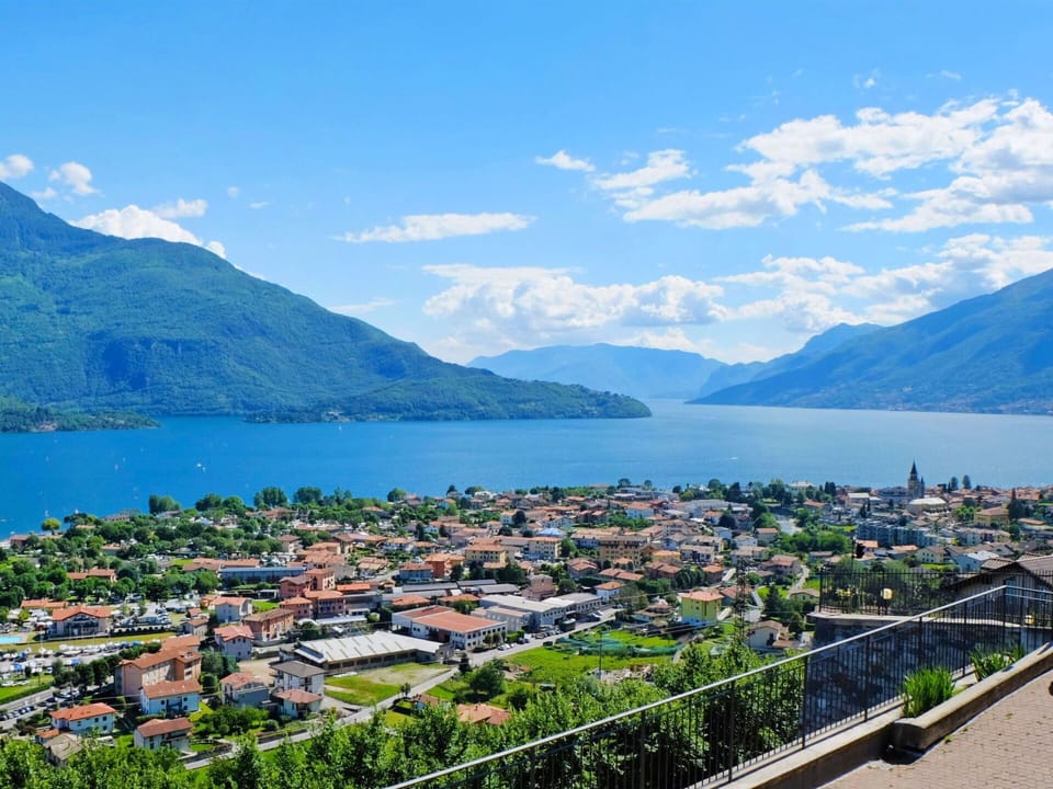 Plant, Sky, Plant Community, Natural Landscape, Branch, Tree, Grass, Shrub, Deciduous, Landscape