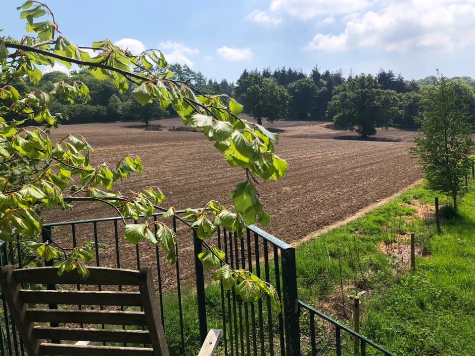 View from the little balcony outside the front door. 