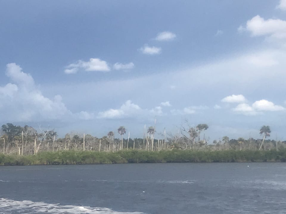 Beautiful boat ride to the gulf 