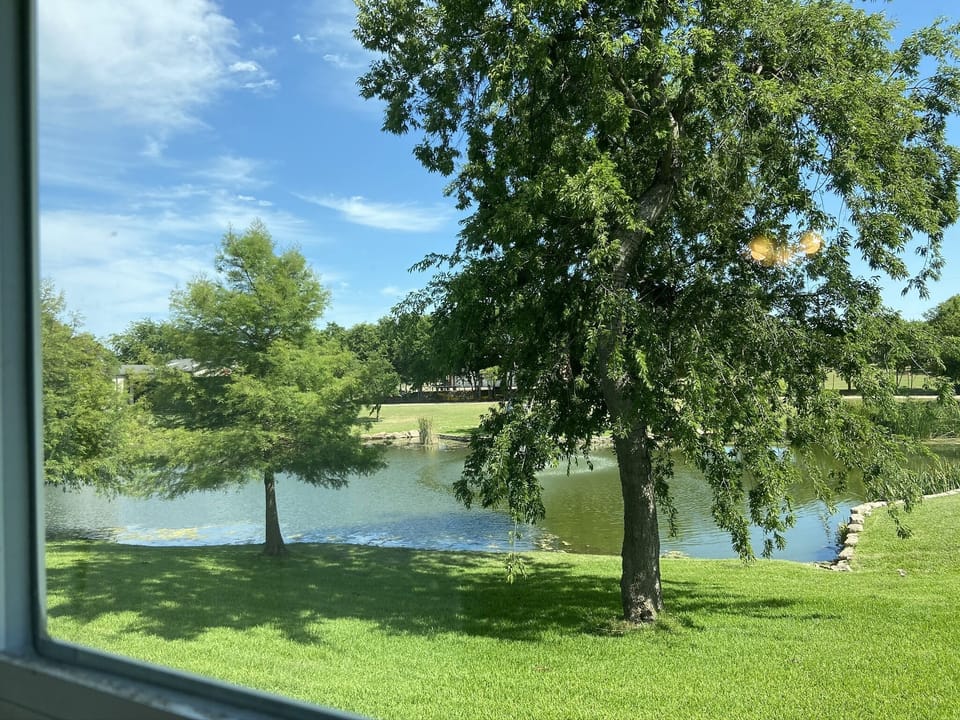 View from the Downstairs Master Bedroom