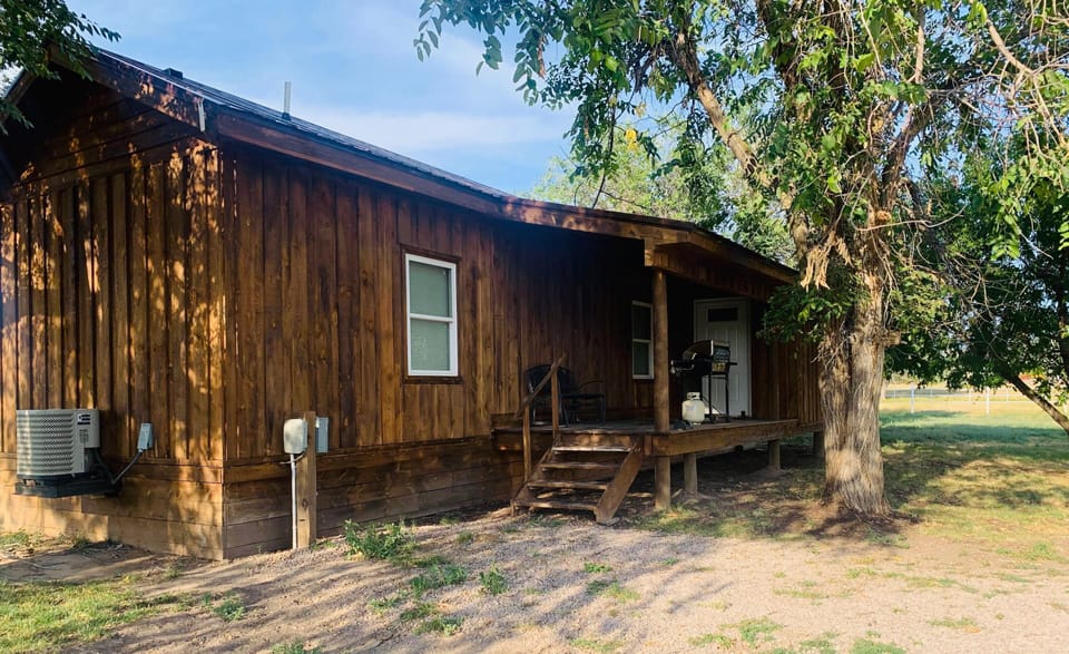 Horses graze freely outside the cabin. 