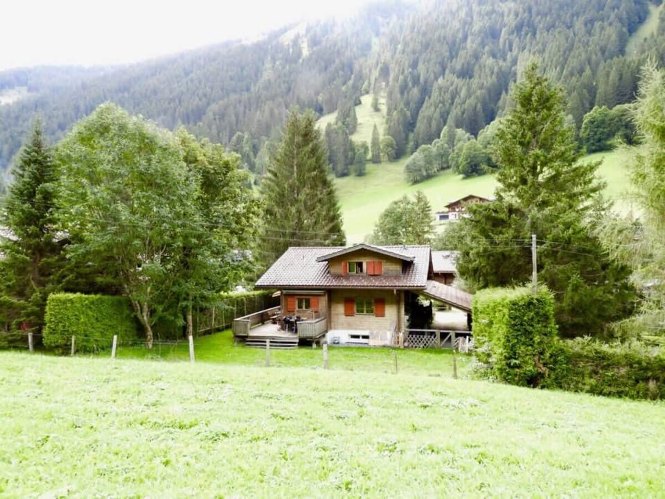 the sweet chalet in the green field 