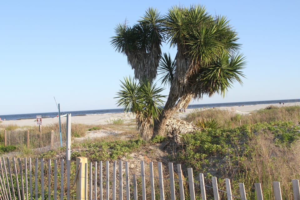 East Beach
