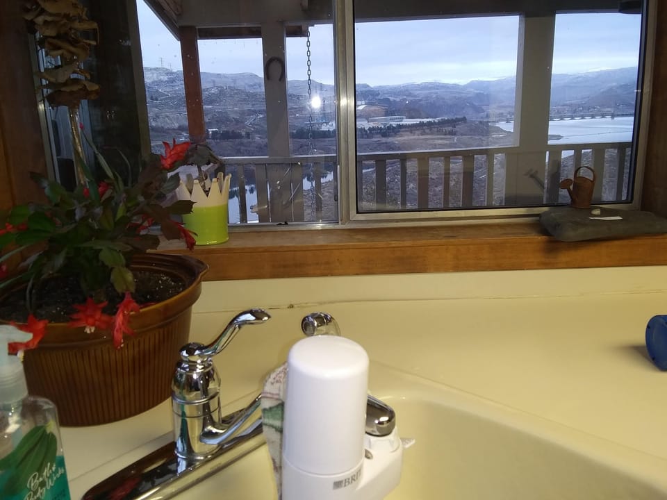 view from kitchen