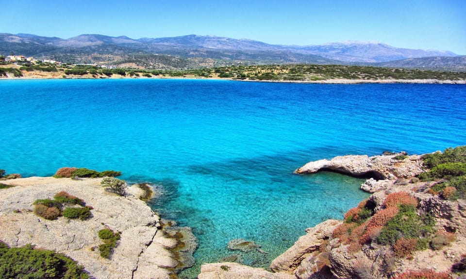 Olive Green Villa | HotelPraxis Group