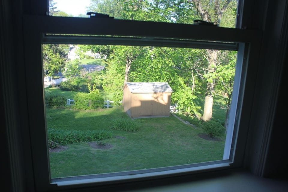 View from the kitchen
