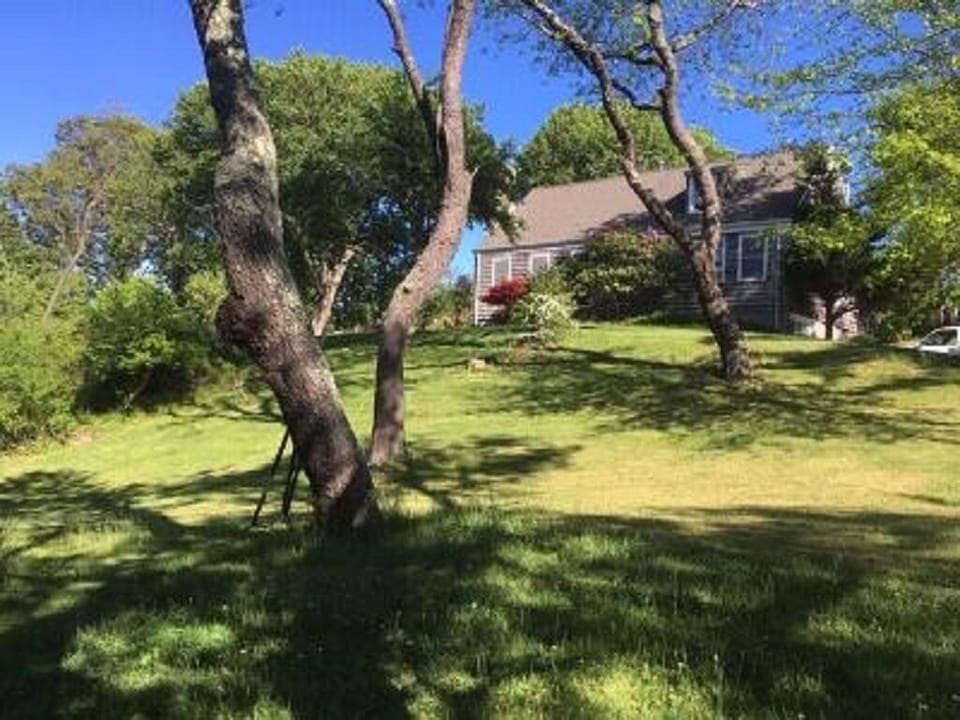 back side of house