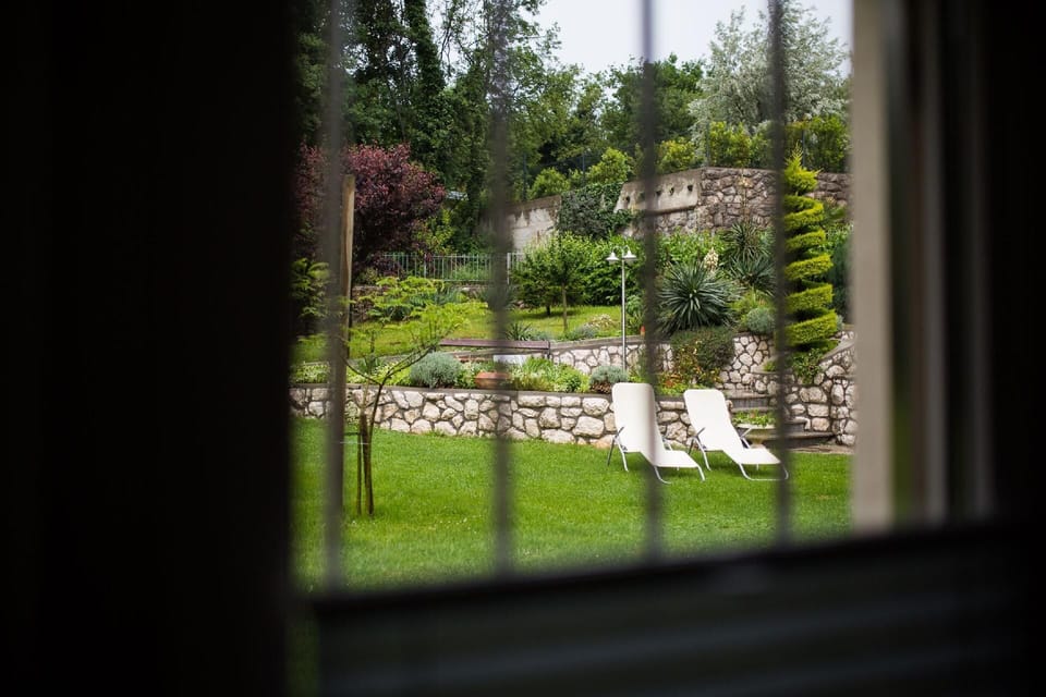 View from the window